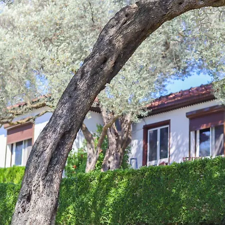 Hilja'S Oliven Garden Bungalows Ulcinj Exterior photo